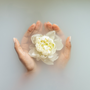 Paraben-Free Beauty: Why It's Time to Ditch These Controversial Ingredients